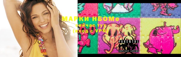 прущие грибы Медвежьегорск