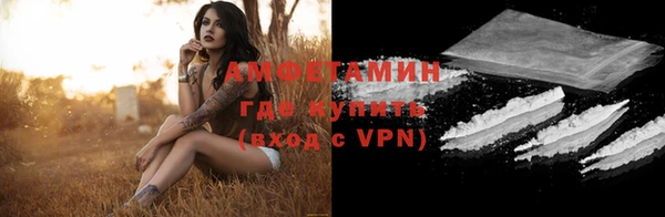 прущие грибы Медвежьегорск