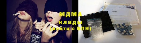 прущие грибы Медвежьегорск