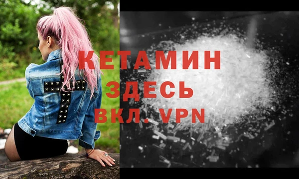 прущие грибы Медвежьегорск