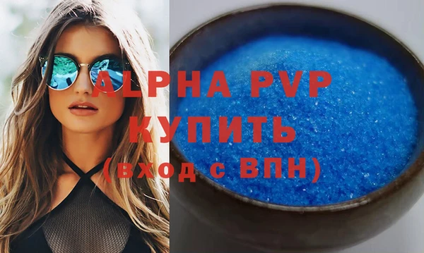 прущие грибы Медвежьегорск