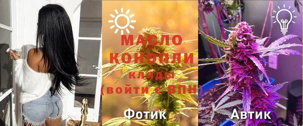 прущие грибы Медвежьегорск