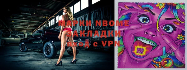прущие грибы Медвежьегорск