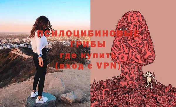 а пвп мука Мегион
