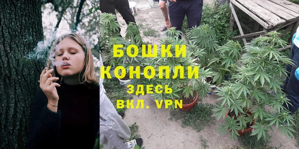 прущие грибы Медвежьегорск