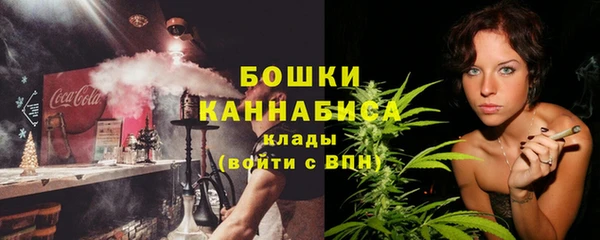 прущие грибы Медвежьегорск