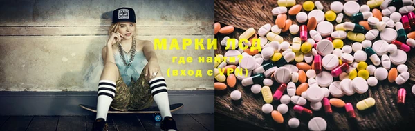 индика Магадан