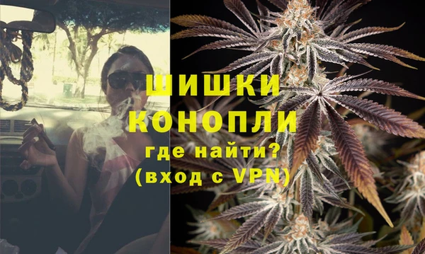 гашик Майский